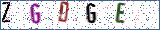 Type the letters shown in the picture