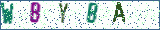 Type the letters shown in the picture