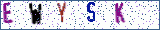 Type the letters shown in the picture