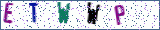 Type the letters shown in the picture