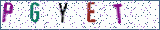 Type the letters shown in the picture