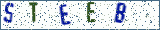 Type the letters shown in the picture
