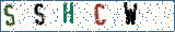 Type the letters shown in the picture