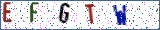 Type the letters shown in the picture