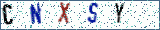 Type the letters shown in the picture