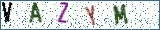 Type the letters shown in the picture