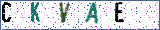 Type the letters shown in the picture