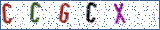Type the letters shown in the picture