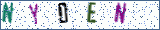 Type the letters shown in the picture