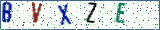 Type the letters shown in the picture