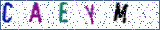 Type the letters shown in the picture