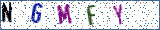Type the letters shown in the picture