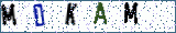 Type the letters shown in the picture