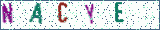 Type the letters shown in the picture
