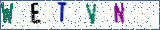 Type the letters shown in the picture