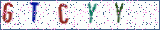Type the letters shown in the picture
