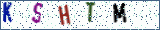 Type the letters shown in the picture