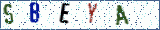 Type the letters shown in the picture