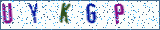 Type the letters shown in the picture