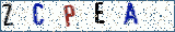 Type the letters shown in the picture