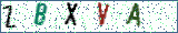 Type the letters shown in the picture