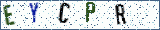 Type the letters shown in the picture