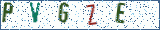 Type the letters shown in the picture