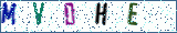 Type the letters shown in the picture