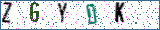 Type the letters shown in the picture