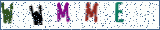Type the letters shown in the picture
