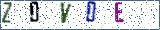 Type the letters shown in the picture