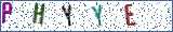 Type the letters shown in the picture