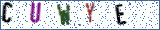 Type the letters shown in the picture