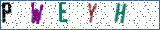 Type the letters shown in the picture
