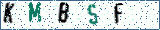 Type the letters shown in the picture