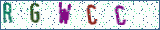 Type the letters shown in the picture