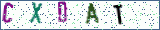 Type the letters shown in the picture