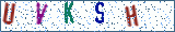 Type the letters shown in the picture