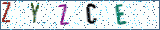 Type the letters shown in the picture