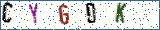Type the letters shown in the picture