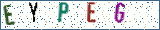Type the letters shown in the picture