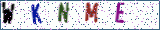 Type the letters shown in the picture