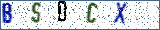 Type the letters shown in the picture