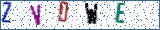 Type the letters shown in the picture