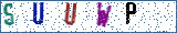 Type the letters shown in the picture