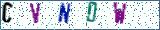 Type the letters shown in the picture