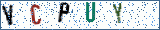 Type the letters shown in the picture