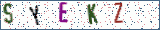 Type the letters shown in the picture