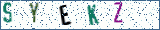Type the letters shown in the picture