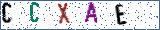 Type the letters shown in the picture